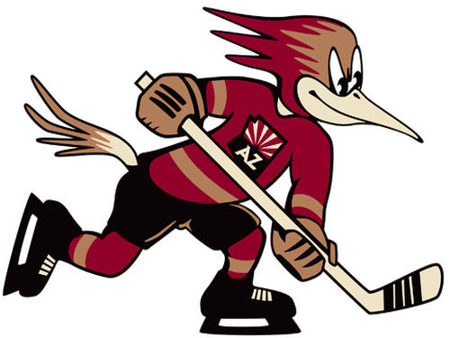 Tucson Roadrunners 2016-Pres Partial Logo iron on transfers for clothing